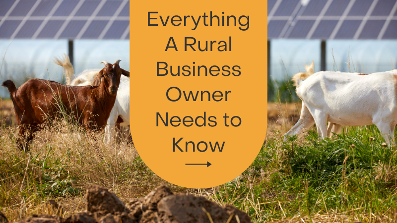 USDA REAP Grants Everything You Need